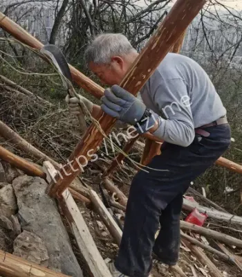 老人花8年修200米木梯