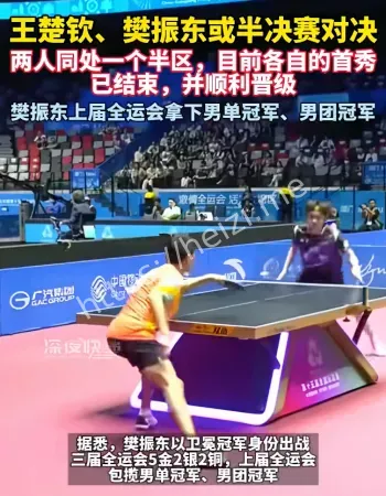 王楚钦樊振东